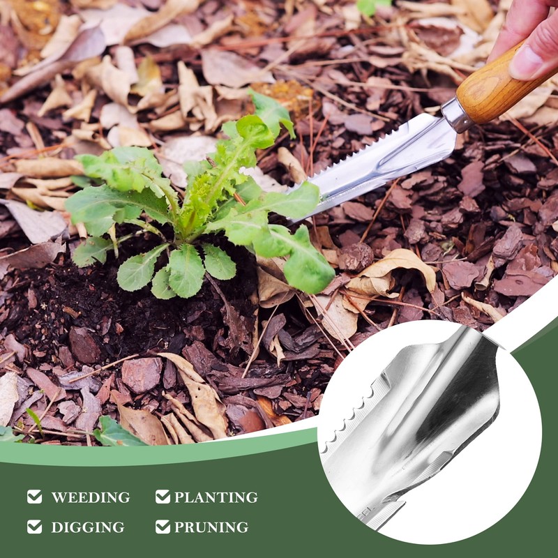 EZARC Weeding Machine, Scale Transplanting Tool, Weeding Fork, 5-in-1 Small