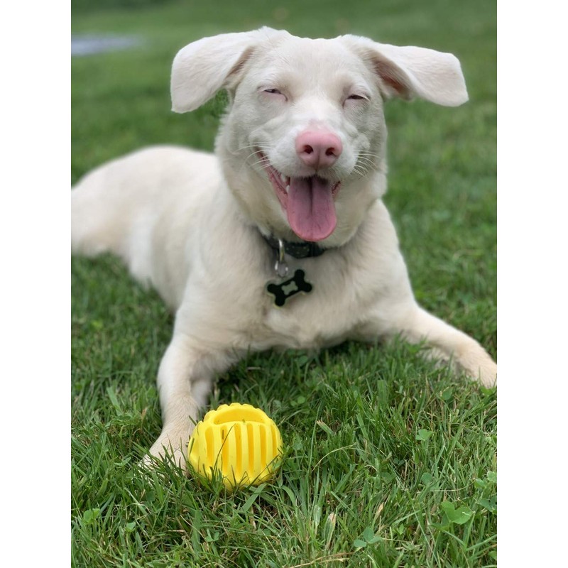 Flingerz Ultra Durable Whistling Ball Launcher Dog Toy (1 Count)