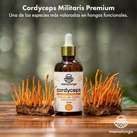 Cordyceps (C. Militaris) - Tintura de Doble Extracción Soporte para Energía, Resistencia Física y Vitalidad Hongo del Atleta Alta Cordicepina 30ml