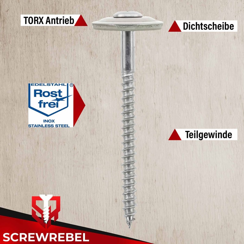 SCREW REBEL TX20 Spengler Screws 4.5 x 35 mm A2