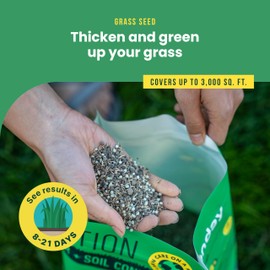 Sunday Sun & Shade 1,500 Sq. Ft. Seed + Feed, Grass Seed + Lawn Fertilizer - 2 Pack, 10 lb