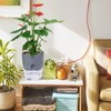 APACALI Set of 4 Herb Pots, Kitchen Set, Windowsill, Self-Watering,