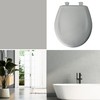 Bemis Classic Colors Slow Close Toilet Seat, Easy Clean Hinges