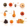 DomeStar 50 PCS Thanksgiving Artificial Pumpkins and Gourds Set Fall