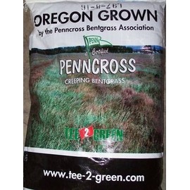 PENNCROSS BENTGRASS ONE POUND GOLF PUTTING GREEN SEED