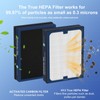 200/300 Series Filter Replacement Compatible with Blueair 200/300 Series, for