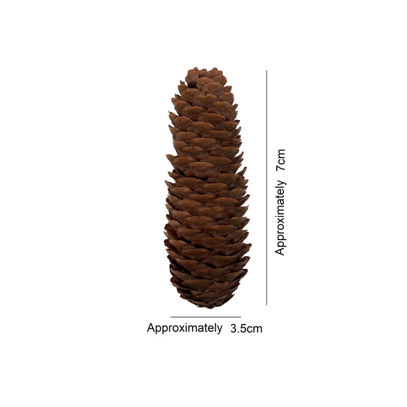 Anthony Peters Long pine cones | 250 gram bag (approximately
