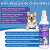 No Chew Spray for Dogs 2 Pack, Bitter Apple Spray