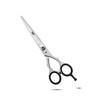 Professional Hair Cutting Scissors, Japanese Stainless Steel, 6.5 inch