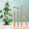 FGXY 4pcs Flexibler Moosstab für Pflanzenstütze für Kletterpflanzen im Innenbereich,