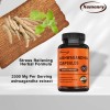 xemenry Ashwagandha 3300mg - High Absorption, Stress Anxiety, Immune Support,