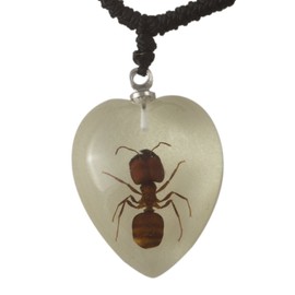 Small Necklace Ant on a White Background