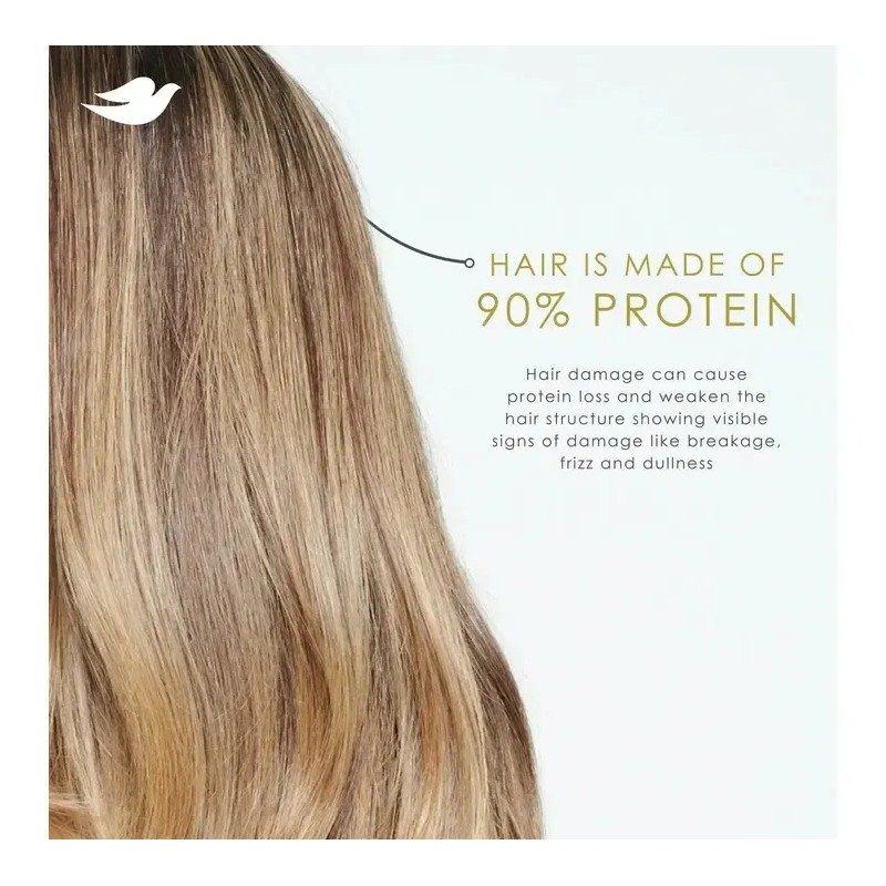 Dove Shampoo Y Acondiconador Cabello Seco Y Dañado 355ml