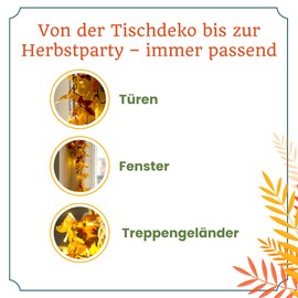 Heitmann Deco LED Motiv-Lichterkette mit Ahornblättern - Herbst Deko-Girlande mit 20 LEDs - batteriebetrieben; innen