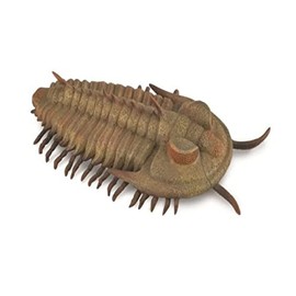 COLLECTA 88906 Red Rikia Rex Trilobite Dinosaur Figure