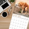Gag Gifts - 2024 Wall Calendar, White Elephants Pooping Dogs,
