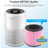 Air Purifier AP0601 Pollen/Pet Allergens Replacement Filters, 5-IN-1 with Activated