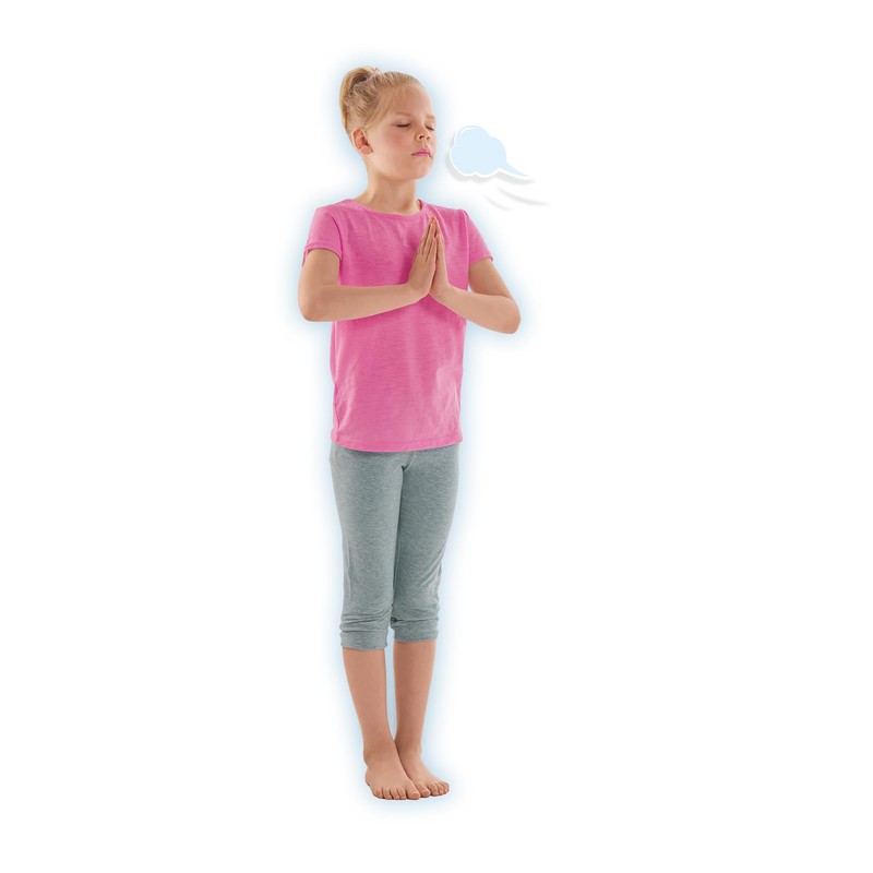 SES Creative 02407 Zen Yoga Animals