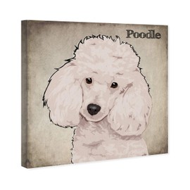 The Oliver Gal Artist Co. Animals Wall Art Canvas Prints 'Poodle' Home Décor, 20" x 20", White, Brown