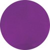 KOKOIST Color Gel E-153 Party Balloons Purple 4g UV/LED Compatible