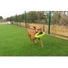 Happy Pet Grubber dog toy in rugby ball shape, jumping