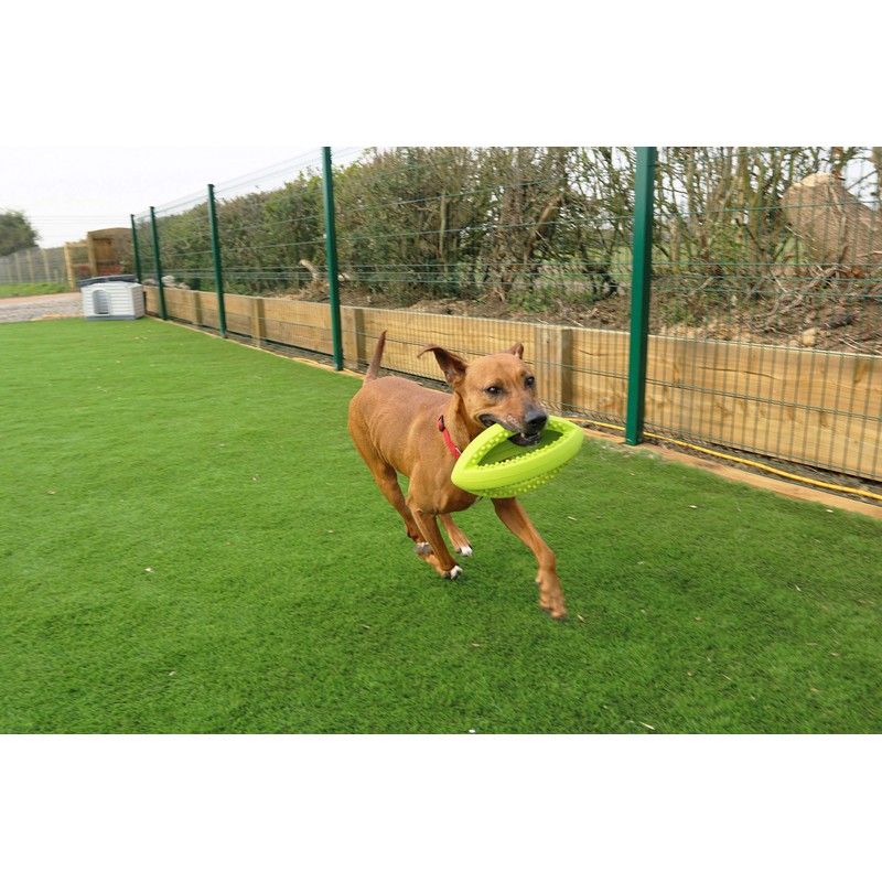 Happy Pet Grubber dog toy in rugby ball shape, jumping