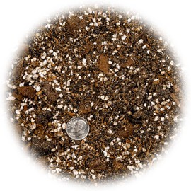 Gardenera Fiddle Leaf Fig House Plant Soil Premium All Purpose Blend - Peat Moss, New Zealand Bark, Coco Chips and Fibers, Perlite - 3 Quart Bag