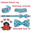 Unique style paws Dog Collar with Bow Tie Blue Heart