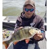 K.P Baits Skeleton Shad Rubber Fish, 3 Inches / 7.5