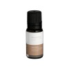 mr.steam Mr Steam Eucalyptus Essential Aroma Oil in 10 mL Bottle