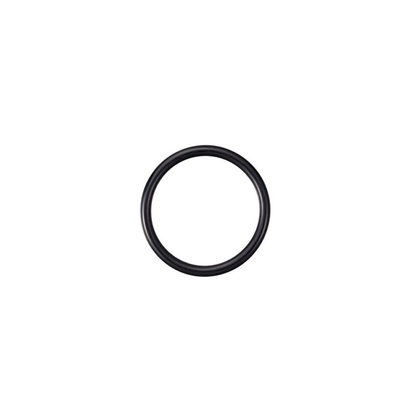 Primus (plymouth) O Ring O – Ring – 1