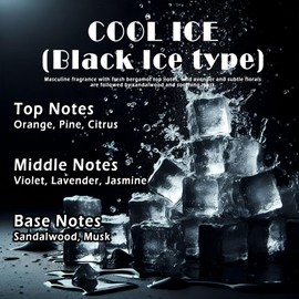 Burst Bird Burst Bird Car Air Freshener Hanging,Cute Air Diffuser for Car, Long Lasting Car Air Fresheners, Car Fresheners for Women, Made in USA (2 Pack)