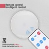 WholeFire USB Solar Camping Light with Remote Control - Hanging