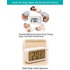 DTL Digital Alarm Clock LED Display with Temperature Big LCD