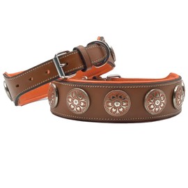 Leather dog collar, collar, leather dog collar, studs, LEATHER COLLAR Studded Wide Dog Collar (Total Length 24'' Inches, Black With Yellow)