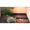 OMEM Reptile Food Bowl,Large Water Dish,Feeding Dish, Tortoise Bowl (S,