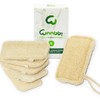 Natural Kitchen Sponge Organic Loofah Exfoliating Loofah Sponge Loofah Sponge