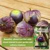 Sow Right Seeds - Purple Tomatillo Seeds for Planting -