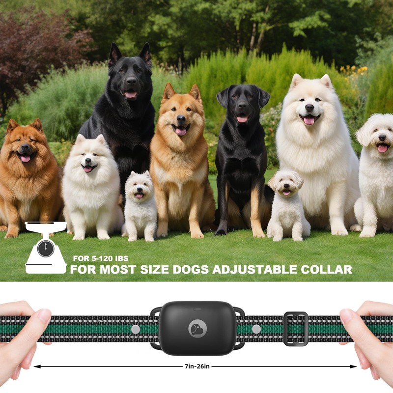 Heaflex Electric Dog Training Collar with a 2600FT Remote Range,