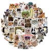 50PCS Water Bottle Stickers for Kids Teens,Funny Cat Emoji Stickers,Cute
