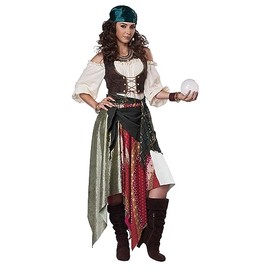 California Costumes Renaissance Fortune Teller/Pirate Adult Costume, Medium,Multi