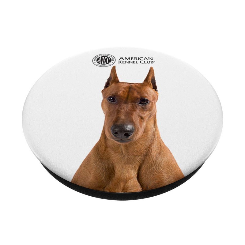 AKC German Pinscher Photo PopSocket