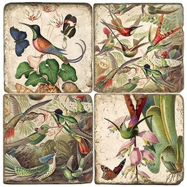 Studio Vertu, Set of 4, Hummingbirds II Tumbled Botticino Marble 4.25" Coasters