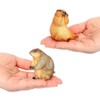 LOVIVER 4x Groundhog Model Figures Groundhog Desktop Ornaments Home Decor