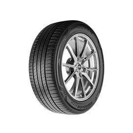 Nexen Roadian GTX All Season 235/55R20 102V Passenger Tire
