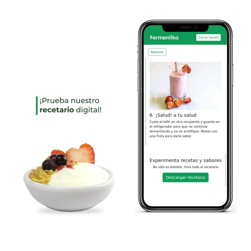 Nódulos de kéfir de leche vivos (30 gramos) búlgaros probióticos
