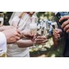 Champagne Flute - Beauty and Beast Crystal Glasses for Toasting