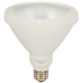 エルパ (ELPA) LED電球ビーム形 電球 照明 E26 14W 防水 LDR14D-M-G050