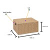 Arpan Natural Paper Rope Storage Basket Box With Lid (Xlarge)