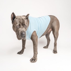 Promoted to Big Brother Boho Dog Tee Shirt | Sleeveless | Pregnancy Announcement | New Baby | Gender Reveal | Photoshoot (Baby Blue, 5X-Large 691)